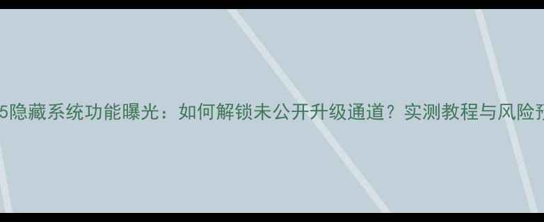 图片 小米5隐藏系统功能曝光：如何解锁未公开升级通道？实测教程与风险预警1