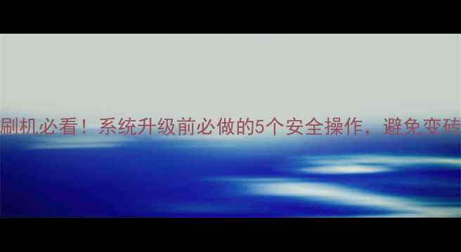 图片 手机刷机必看！系统升级前必做的5个安全操作，避免变砖风险