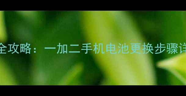 图片 手机电池更换全攻略：一加二手机电池更换步骤详解与注意事项