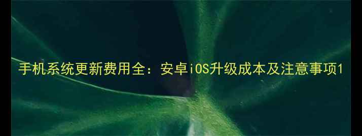 手机系统更新费用全安卓iOS升级成本及注意事项