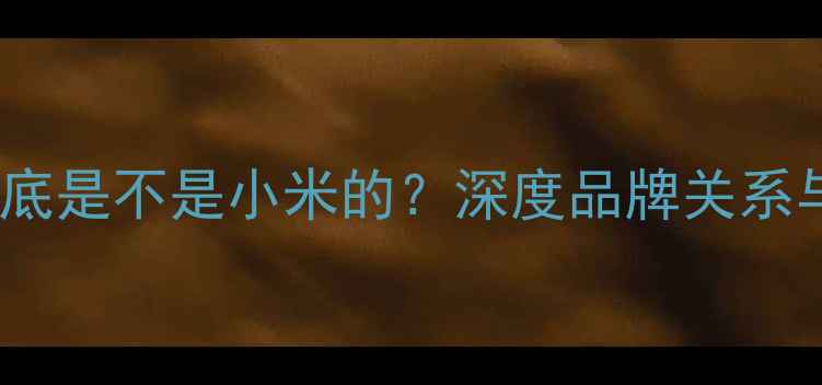 图片 智米手机到底是不是小米的？深度品牌关系与产品差异1