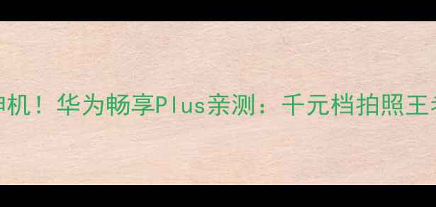 图片 爆款大屏神机！华为畅享Plus亲测：千元档拍照王者怎么选？