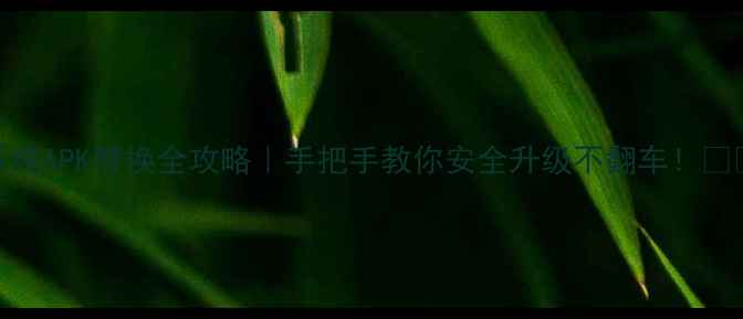 图片 系统APK替换全攻略｜手把手教你安全升级不翻车！📱💡