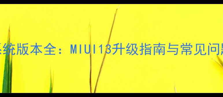 图片 红米3系统版本全：MIUI13升级指南与常见问题处理1
