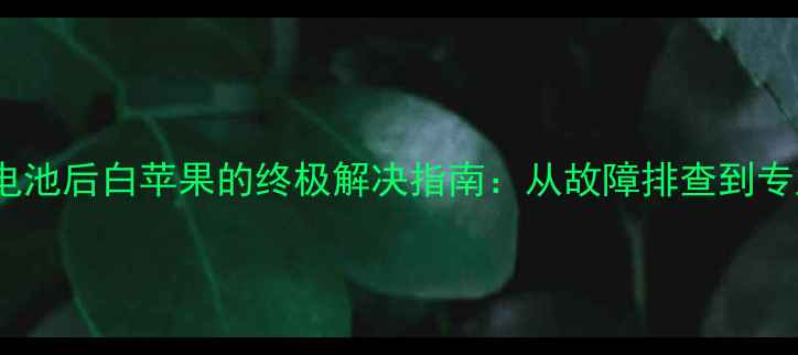 图片 苹果5s换电池后白苹果的终极解决指南：从故障排查到专业维修全1