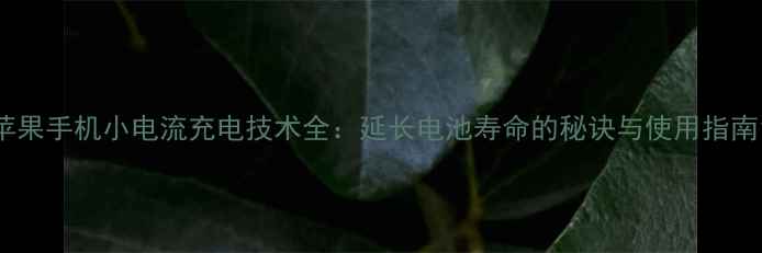 苹果手机小电流充电技术全延长电池寿命的秘诀与使用指南