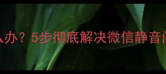 图片 苹果手机微信来信息没声音怎么办？5步彻底解决微信静音问题（含系统更新与权限设置）
