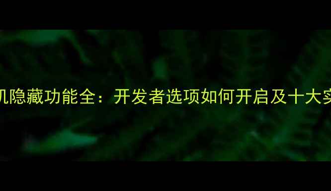 图片 荣耀手机隐藏功能全：开发者选项如何开启及十大实用技巧