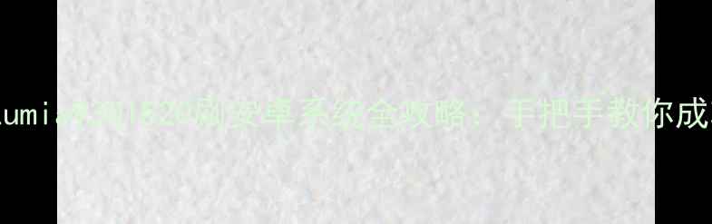 图片 诺基亚Lumia9301520刷安卓系统全攻略：手把手教你成功换机1