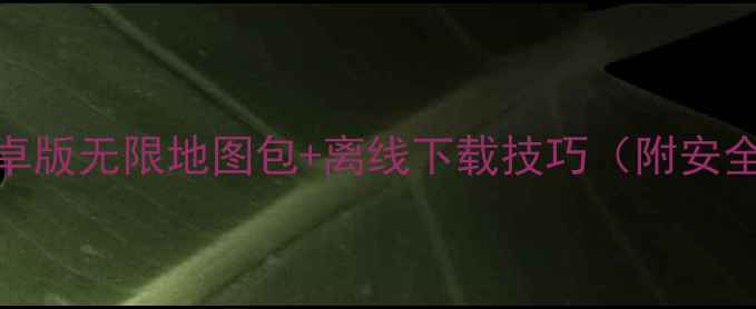 图片 高德导航安卓版无限地图包+离线下载技巧（附安全使用指南）