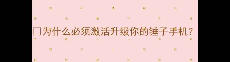 图片 💡为什么必须激活升级你的锤子手机？