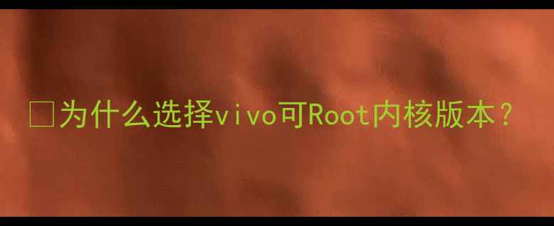 为什么选择vivo可Root内核版本