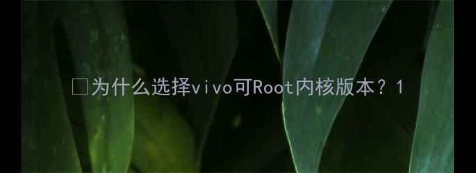 图片 💡为什么选择vivo可Root内核版本？1