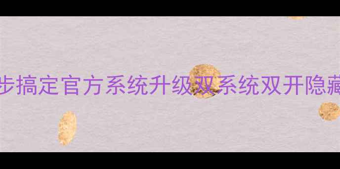 VivoNEX刷机全攻略6步搞定官方系统升级双系统双开隐藏功能解锁附避坑指南