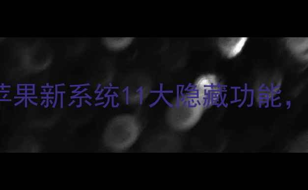 iOS15相机革命苹果新系统11大隐藏功能手机摄影党速看