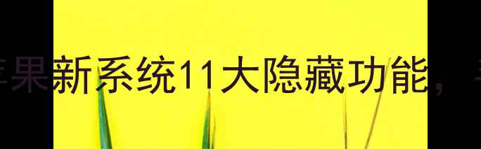 图片 📱iOS15相机革命！苹果新系统11大隐藏功能，手机摄影党速看！📸1