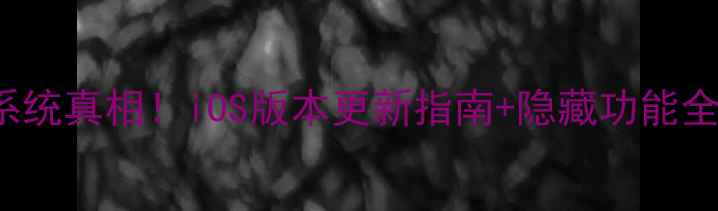 iPhone6sPlus系统真相iOS版本更新指南隐藏功能全附详细教程