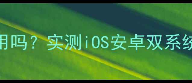 iPhone6还能用吗实测iOS安卓双系统兼容性指南