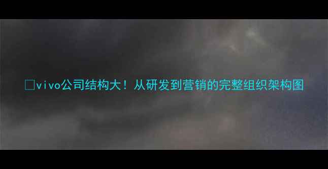 vivo公司结构大从研发到营销的完整组织架构图