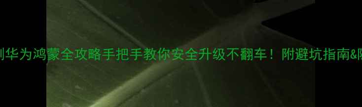 vivo刷华为鸿蒙全攻略手把手教你安全升级不翻车附避坑指南隐藏技巧