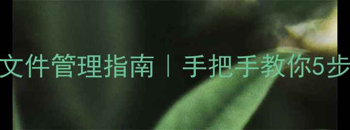 图片 📱vivo手机高效文件管理指南｜手把手教你5步打造专属文件库