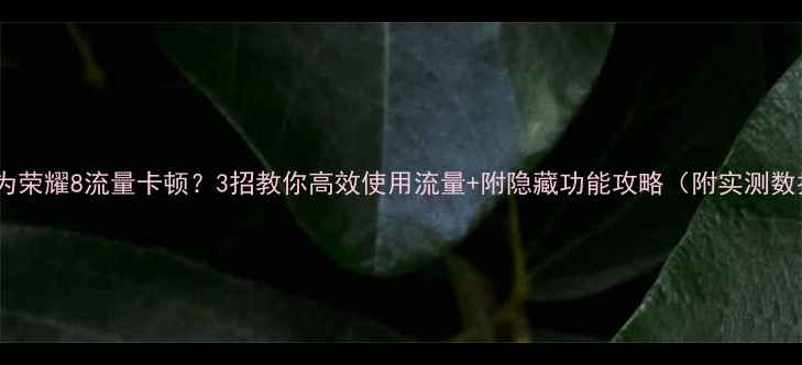 图片 📱华为荣耀8流量卡顿？3招教你高效使用流量+附隐藏功能攻略（附实测数据）1