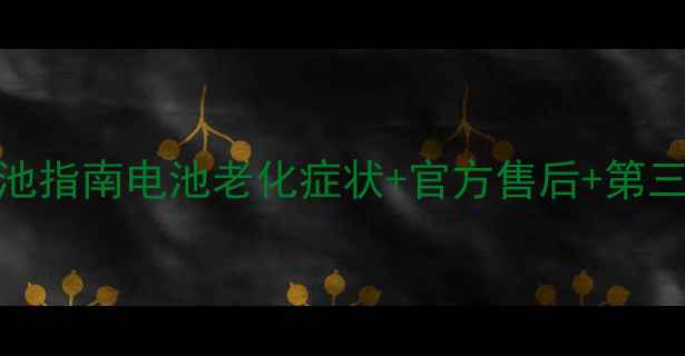 坚果Pro换电池指南电池老化症状官方售后第三方维修全攻略
