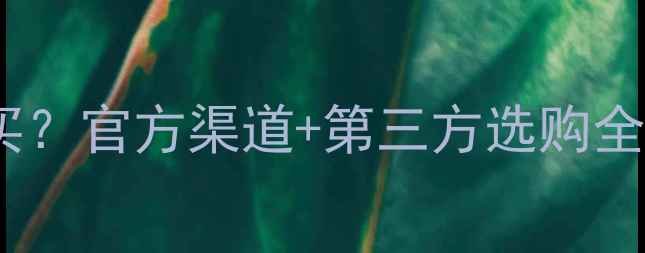 图片 📱小米手机电池哪里买？官方渠道+第三方选购全攻略（附防坑指南）1