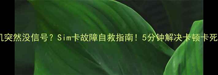 手机突然没信号Sim卡故障自救指南5分钟解决卡顿卡死问题