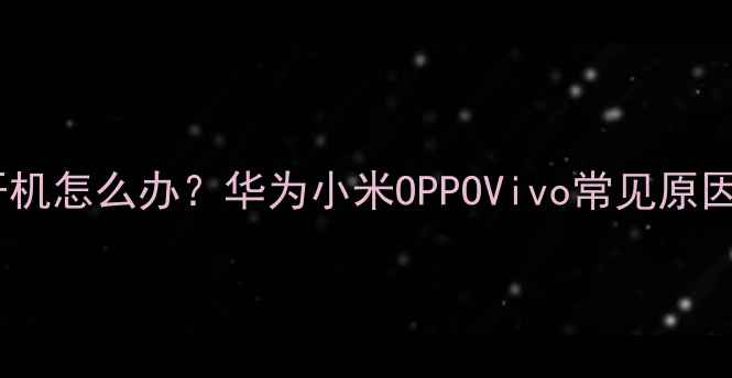 手机突然黑屏不开机怎么办华为小米OPPOVivo常见原因及快速解决指南