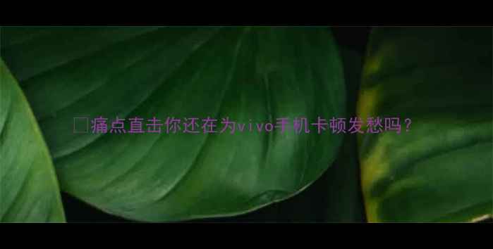 图片 📱痛点直击你还在为vivo手机卡顿发愁吗？