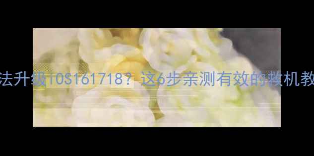 图片 📱苹果4无法升级iOS161718？这6步亲测有效的救机教程来了！1
