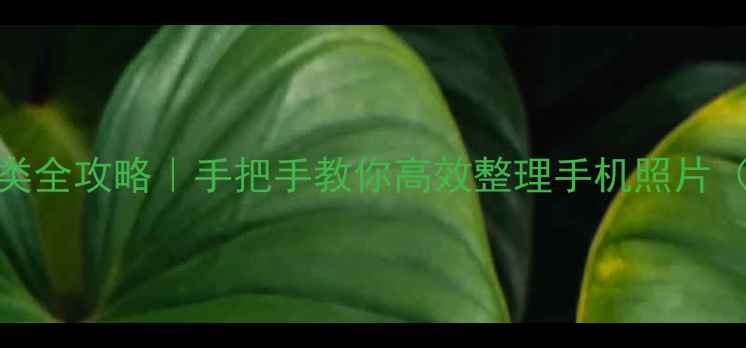 图片 📱苹果6相册分类全攻略｜手把手教你高效整理手机照片（附实用技巧）1
