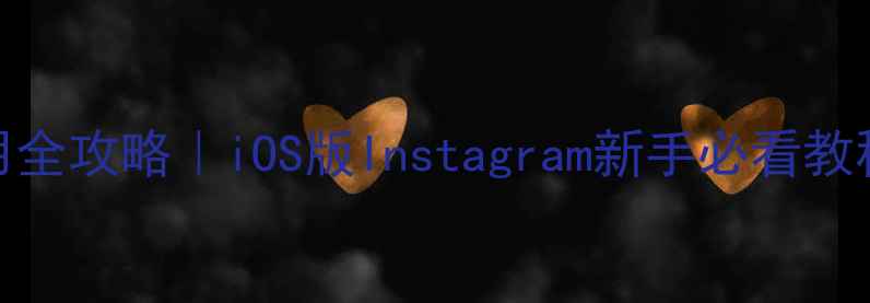 苹果手机ins使用全攻略iOS版Instagram新手必看教程附隐藏功能