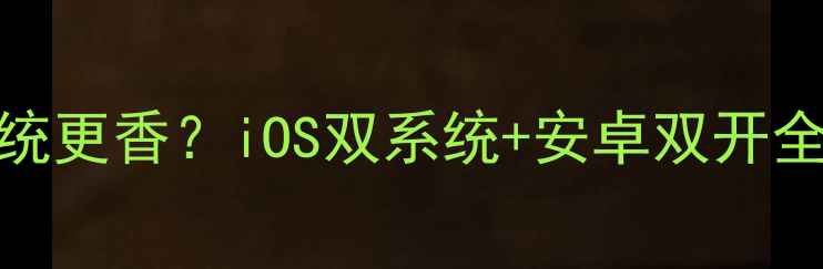 苹果手机刷什么系统更香iOS双系统安卓双开全攻略附安全教程