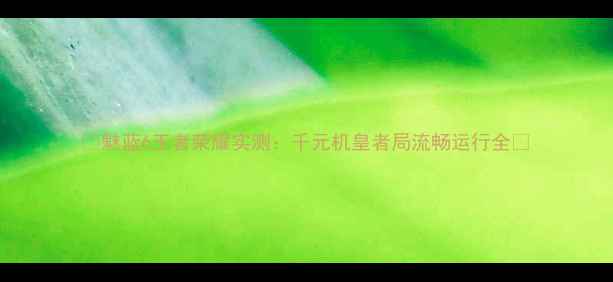 魅蓝6王者荣耀实测千元机皇者局流畅运行全