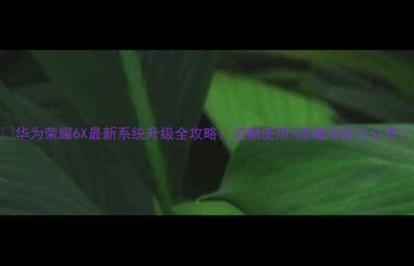 华为荣耀6X最新系统升级全攻略流畅使用隐藏功能大公开