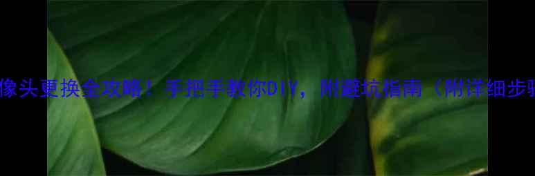 图片 📸vivo手机摄像头更换全攻略！手把手教你DIY，附避坑指南（附详细步骤+工具清单）