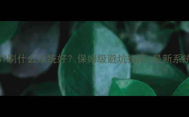 图片 🔥三星S7刷什么系统好？保姆级避坑指南+最新系统推荐✅