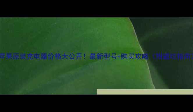 苹果原装充电器价格大公开最新型号购买攻略附避坑指南