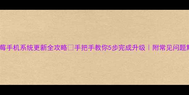 图片 🔥黑莓手机系统更新全攻略✅手把手教你5步完成升级｜附常见问题解答1