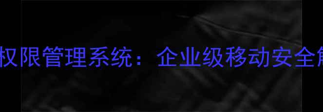 图片 360手机权限管理系统：企业级移动安全解决方案