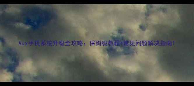 Aux手机系统升级全攻略保姆级教程常见问题解决指南