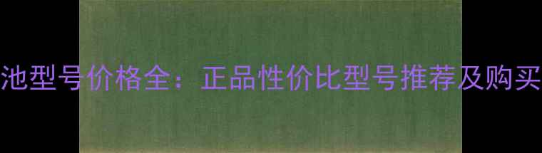 图片 BBS电池型号价格全：正品性价比型号推荐及购买指南2