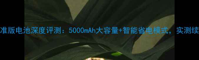 图片 Find7标准版电池深度评测：5000mAh大容量+智能省电模式，实测续航表现1