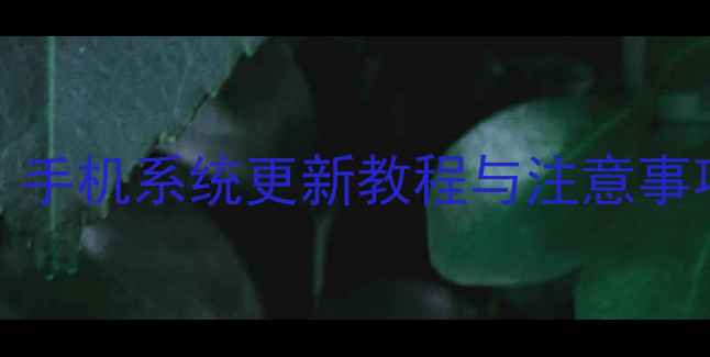 图片 MIUI9升级全攻略：手机系统更新教程与注意事项（附图文步骤）2