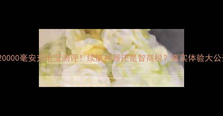 OPPO20000毫安充电宝测评续航神器还是智商税真实体验大公开