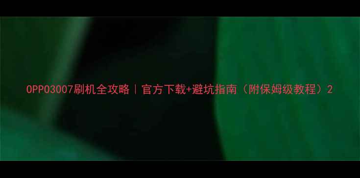 OPPO3007刷机全攻略官方下载避坑指南附保姆级教程