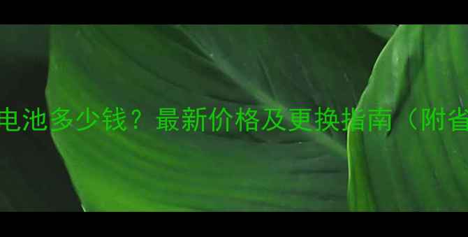 图片 OPPOA37换电池多少钱？最新价格及更换指南（附省钱技巧）2