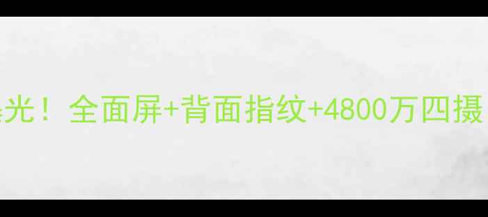 图片 OPPOA系列新机曝光！全面屏+背面指纹+4800万四摄，性价比炸裂！1